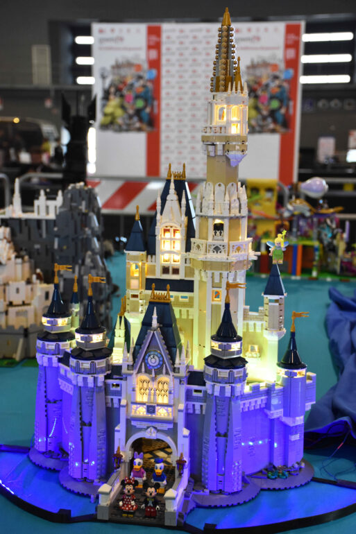 Copia di DSC_0219 (2)