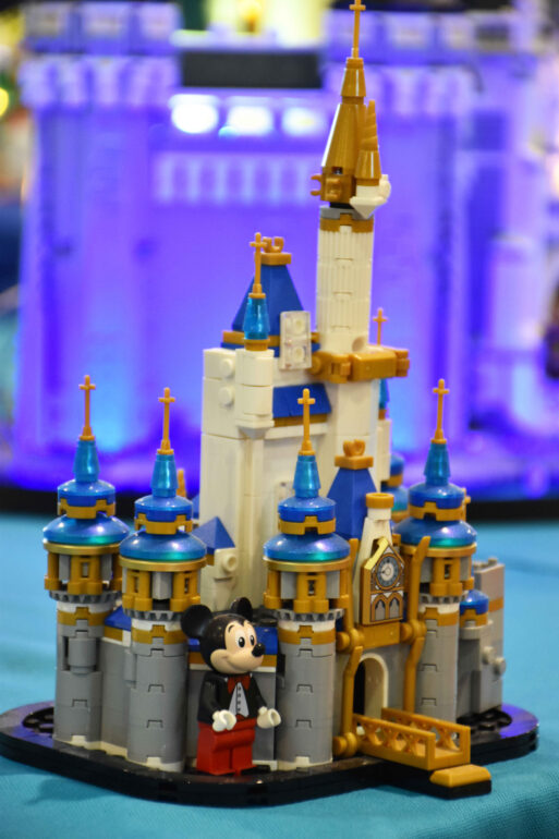 Copia di DSC_0221 (2)