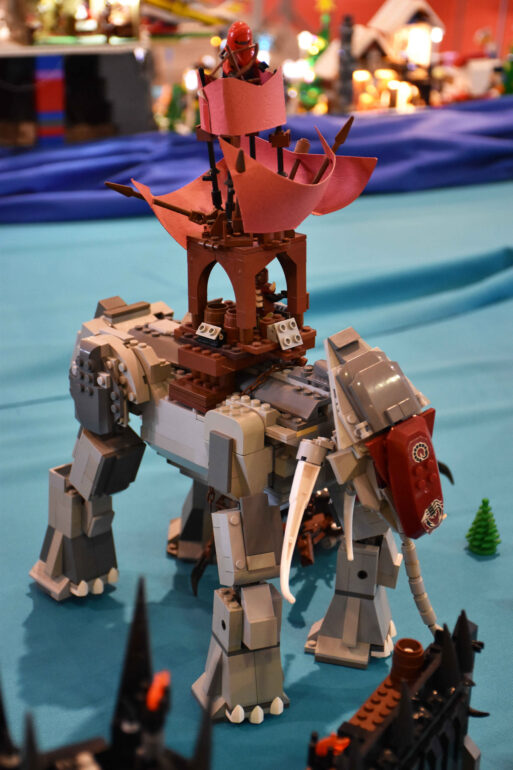 Copia di DSC_0226 (2)