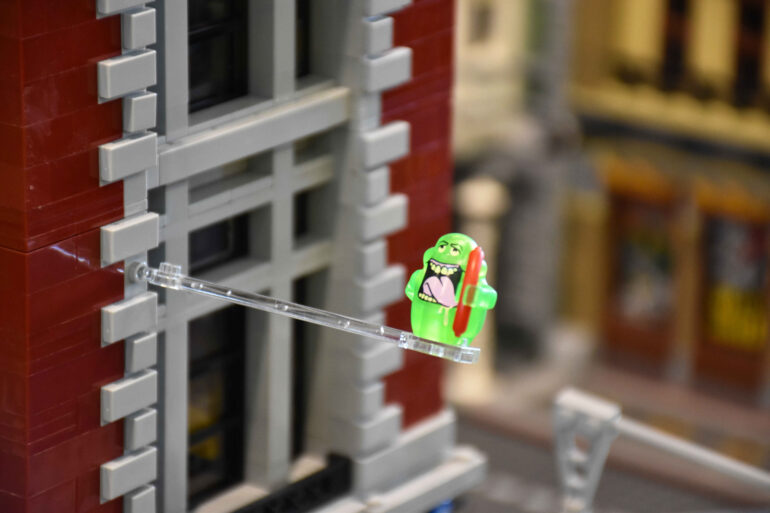 Copia di DSC_0238 (2)