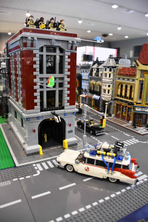 Copia di DSC_0240 (2)