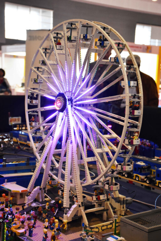 Copia di DSC_0246 (2)