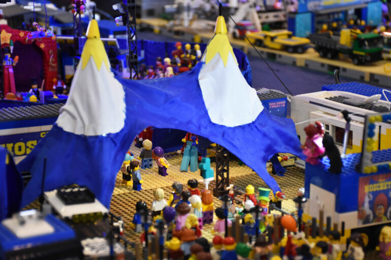 Copia di DSC_0249 (2)