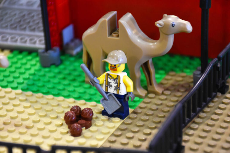 Copia di DSC_0253 (2)