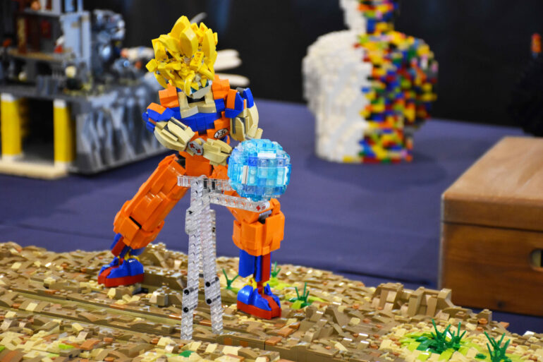 Copia di DSC_0255 (2)