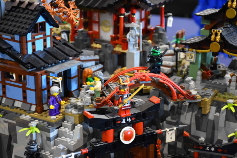 Copia di DSC_0256 (2)