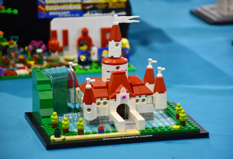 Copia di DSC_0261 (2)