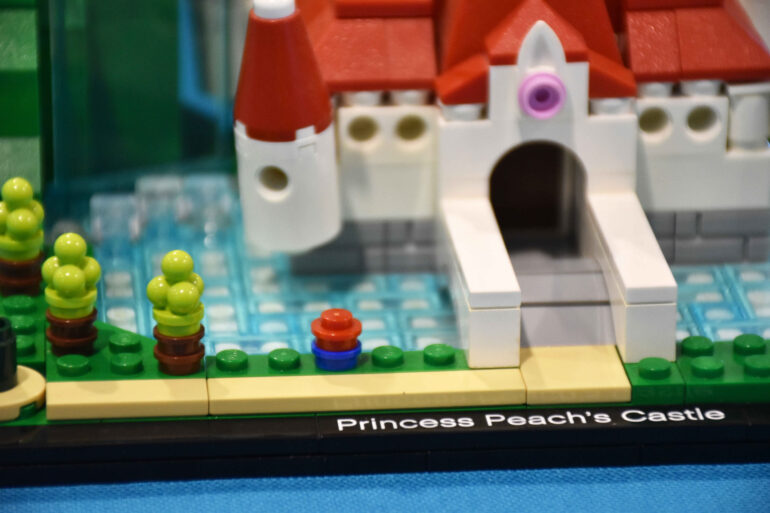 Copia di DSC_0263 (2)