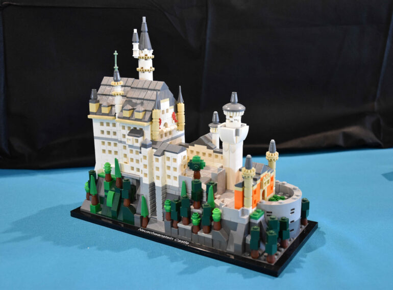 Copia di DSC_0268 (2)